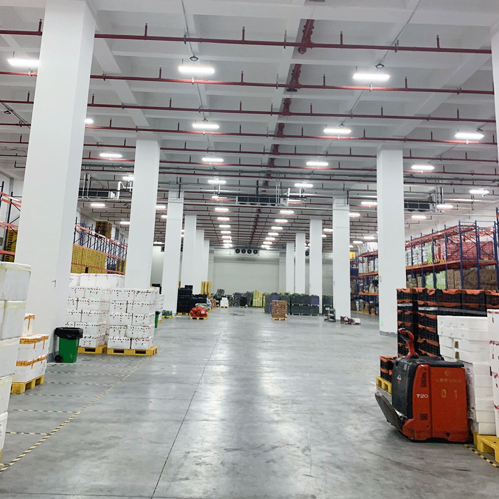 Cold Room Warehouse Pallet Storage Racking Systems Poultry Cool Room Meat Cold Room Walk in Freezer
