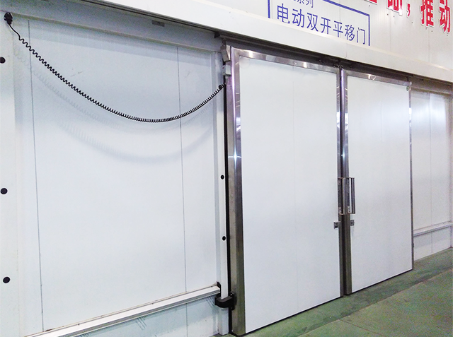 Electric Sliding Door