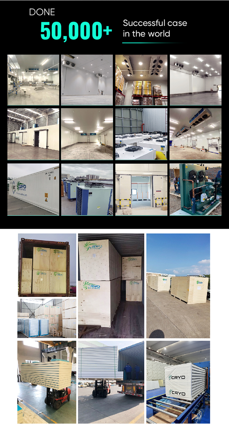 Project Case 2