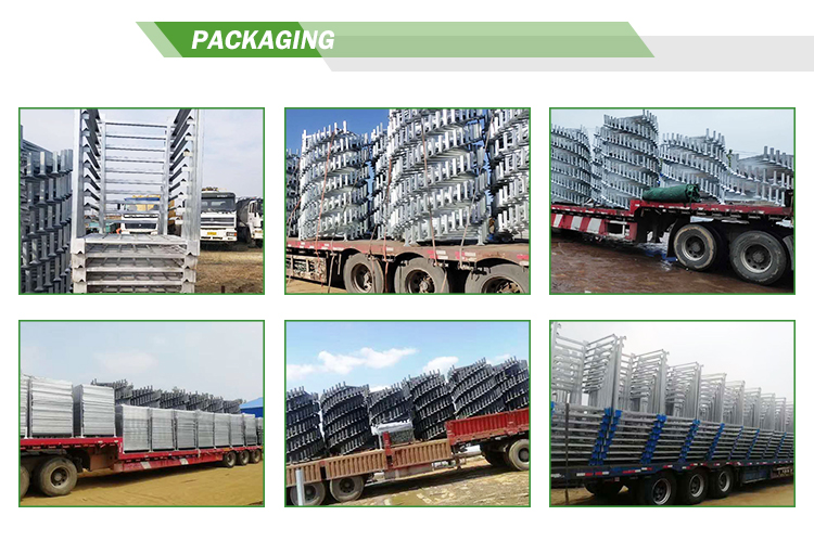 Packing Presentation