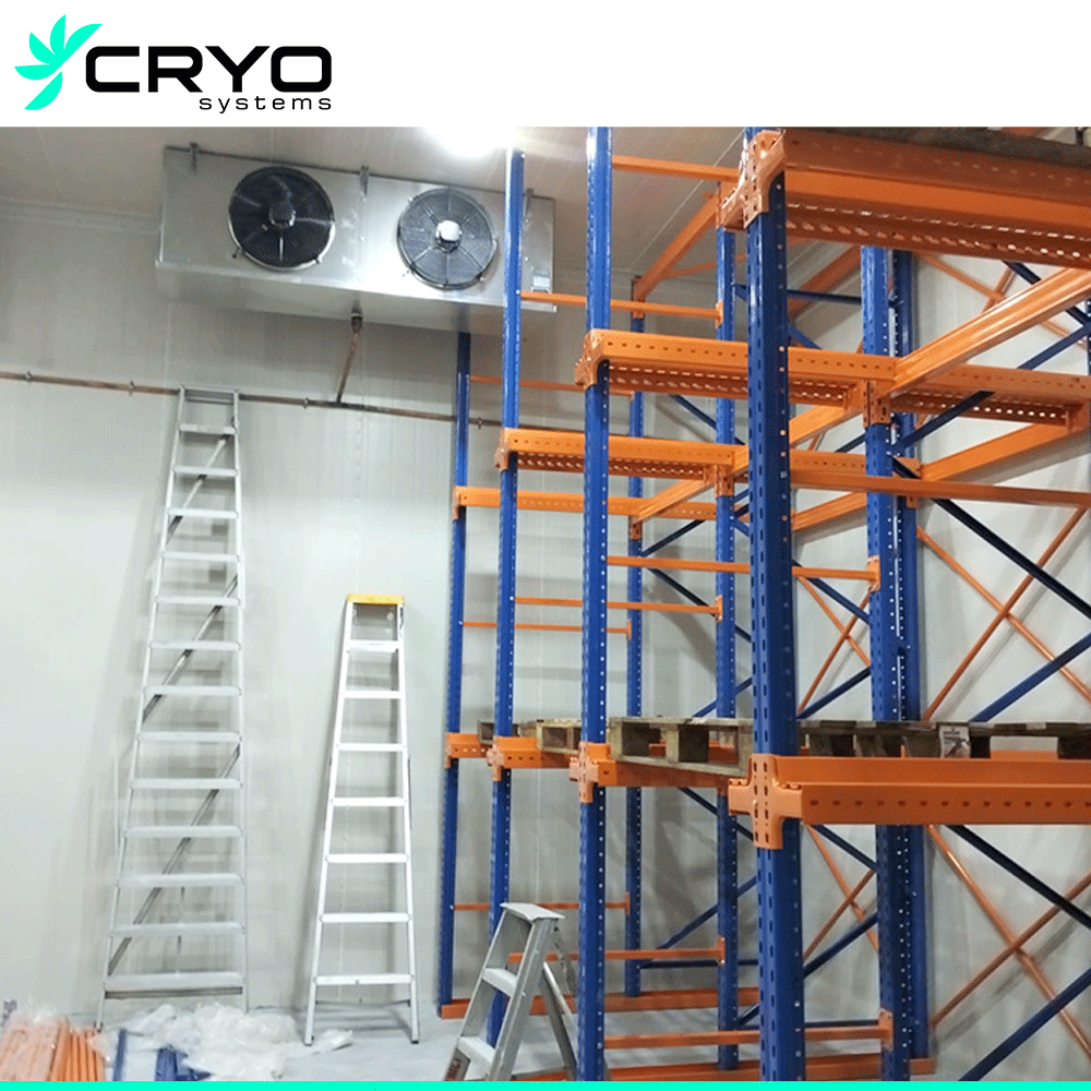 Cold Room Warehouse Pallet Storage Racking Systems Poultry Cool Room Meat Cold Room Walk in Freezer