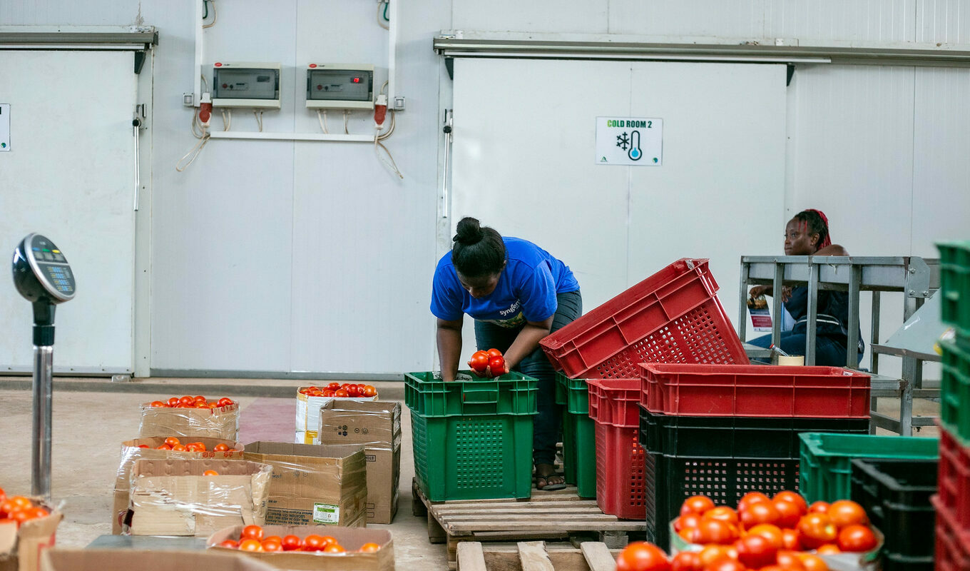 Food Processing