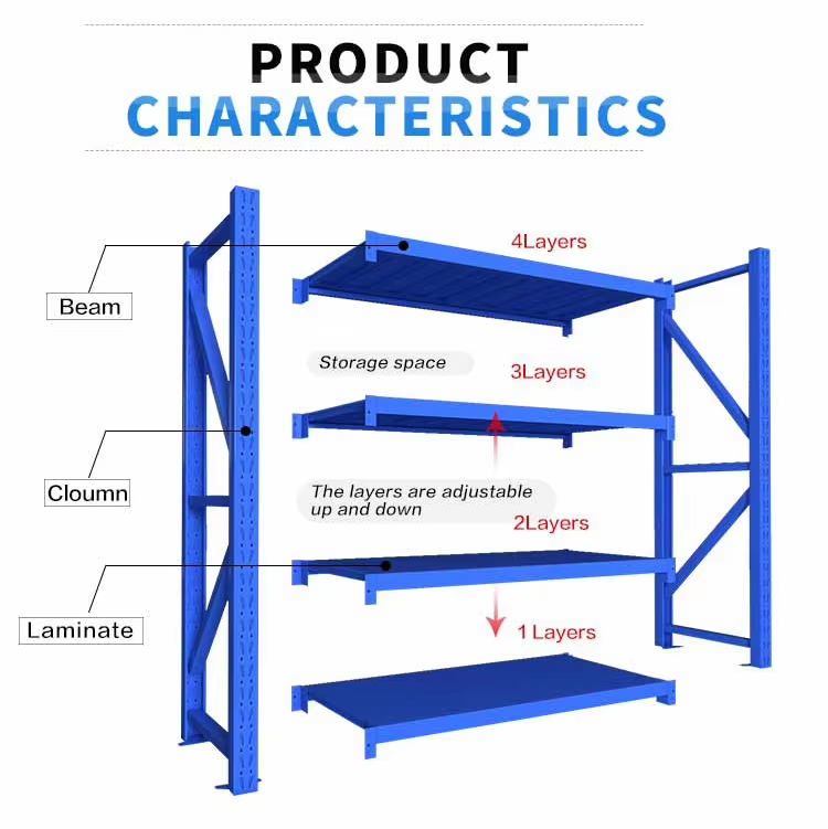 Color and Spec Options