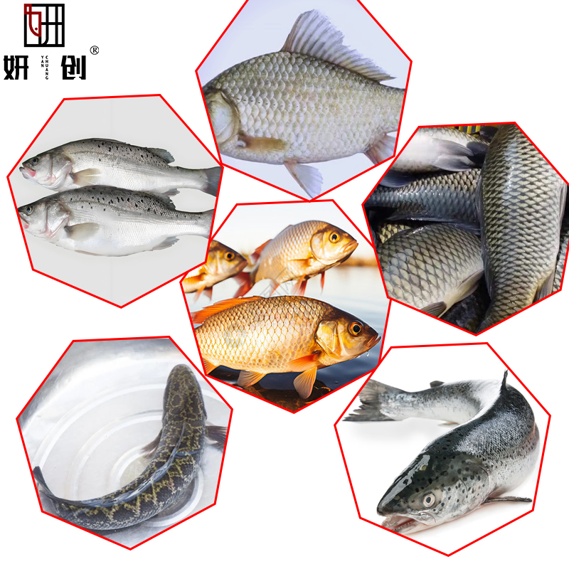 High-capacity Production Line Seafood Cooling Tunnel Fish Killing Workbench Vegetable Fruits Candies Flour Seafood Grain Product