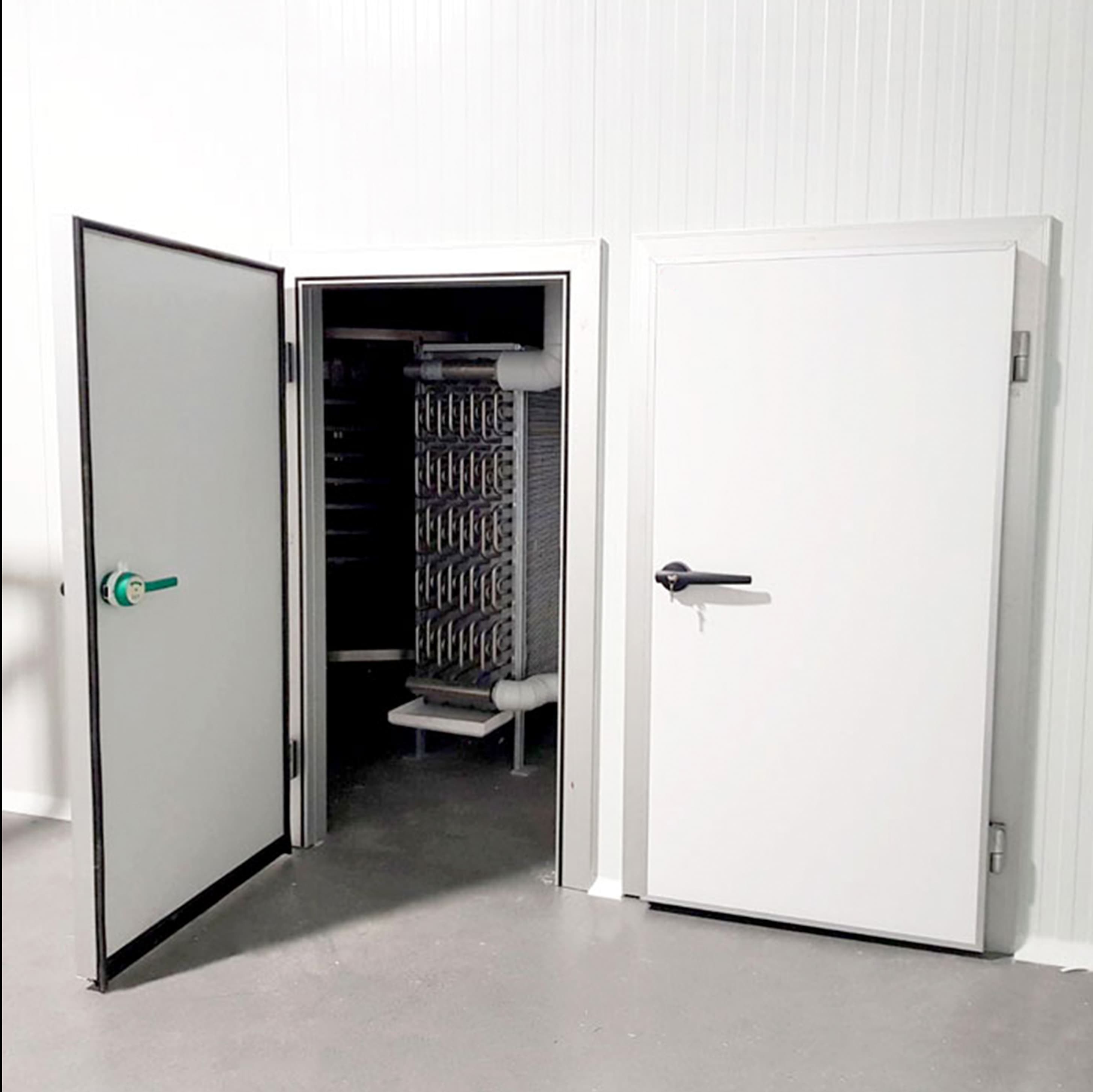 Swing Door