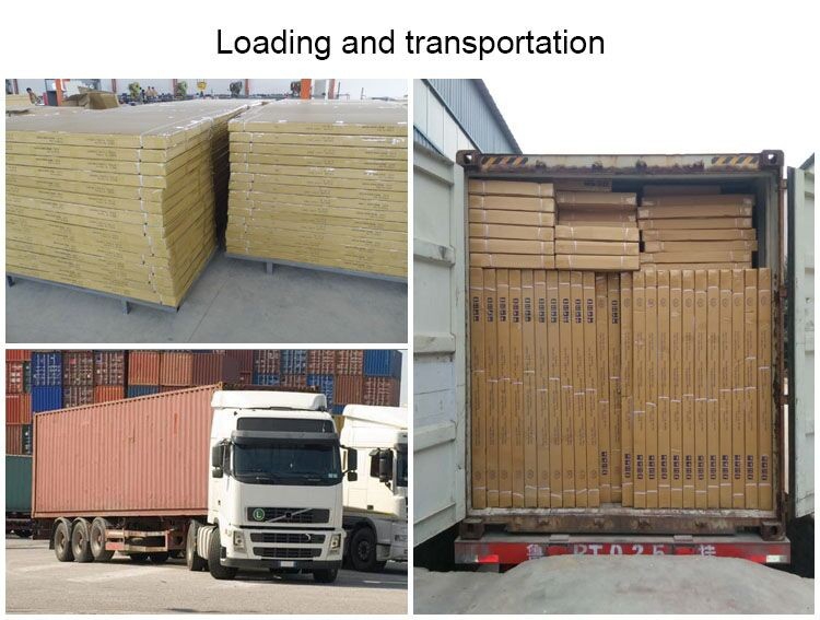 Professional ocean container shipping